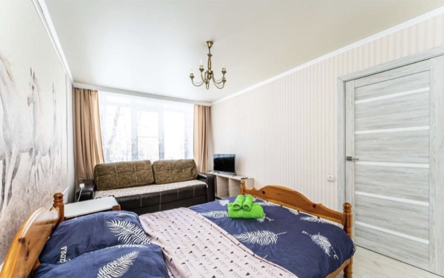 Tsentralnaya 6/2 Apartments