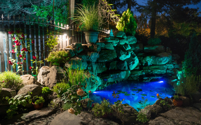 Lotos Guest house