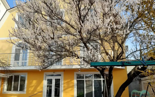 Гостевой дом Кати Соловьяновой 98