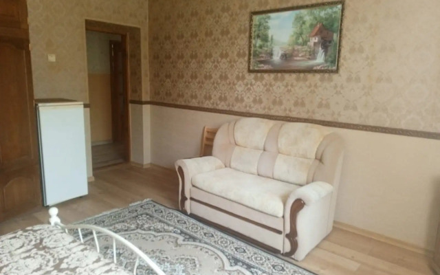 Na Tolstogo 13 Guest House