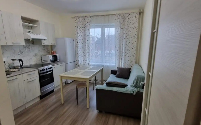 Апартаменты Юнтолово