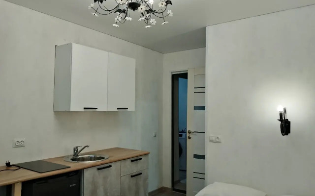 Апартаменты Уютная мини-студия на Трудовой