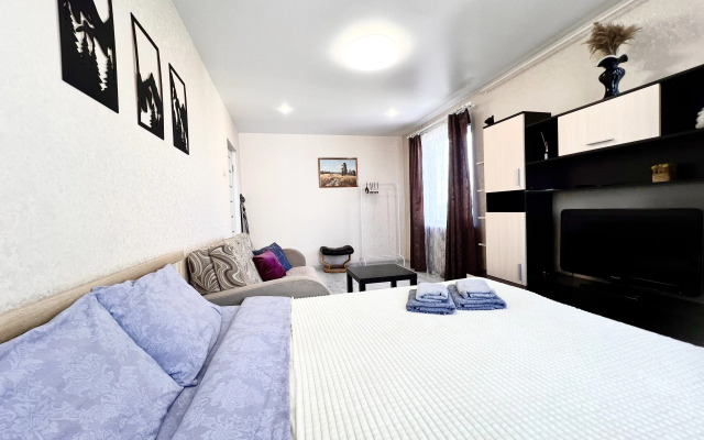 Апартаменты 51 с Шикарным Видом Сканди на Старостина, 33