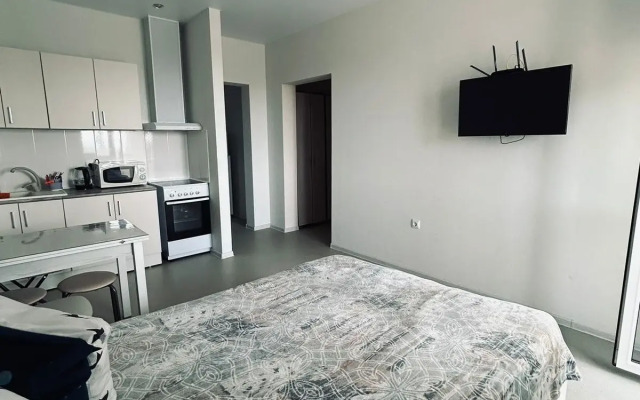 Квартира Студия на Ленина 563