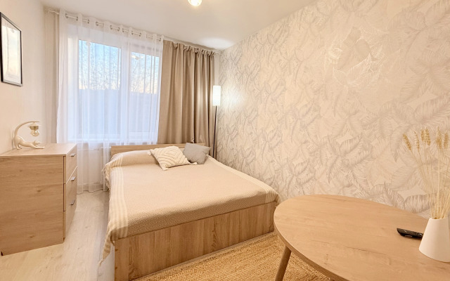 Stylish spacious near the center of Loginov Flat