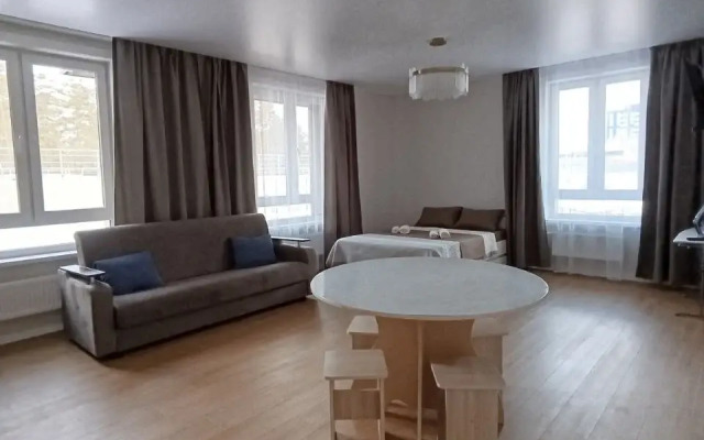 Квартира Смитовский дом