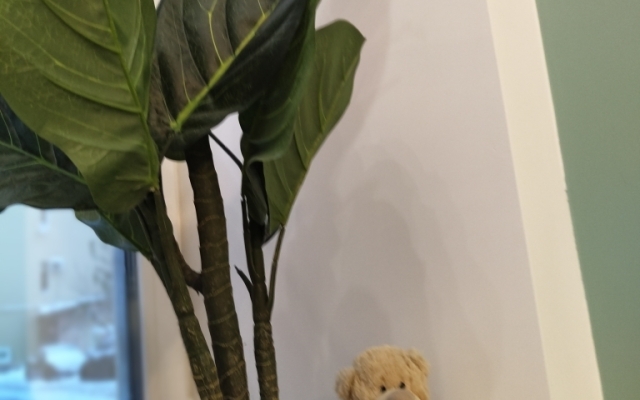 Квартира на Марата 14