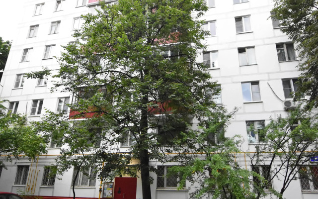 Квартира 9-я Парковая Улица 49/1