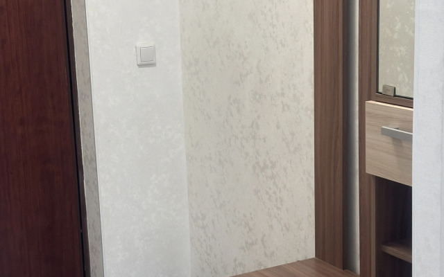 Квартира Уютная студия в Янино-1