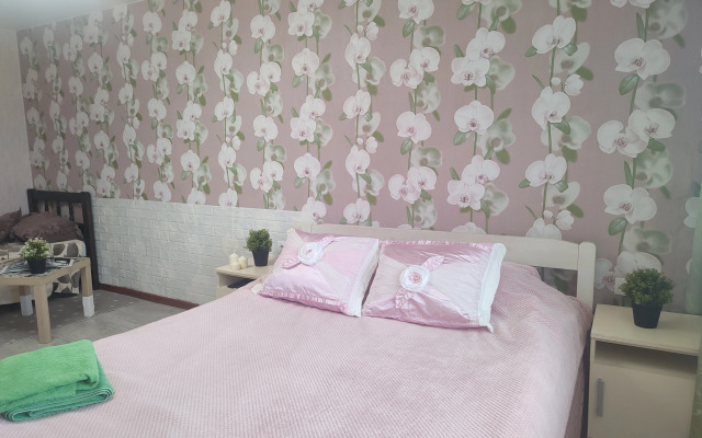 Квартира Мечникова 30