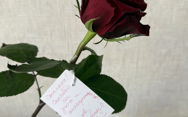 Апартаменты Море Уюта Балтии у озера в Зеленоградске
