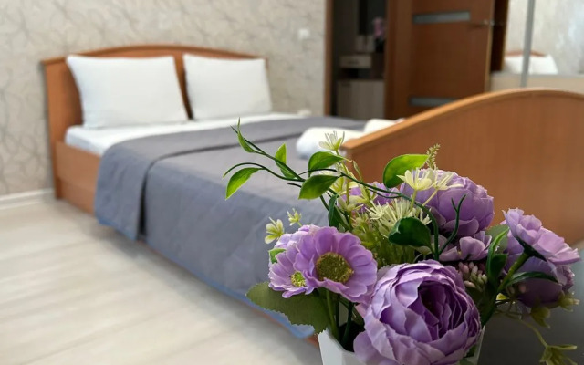 Апартаменты Светлая и уютная квартира в тихом центре города