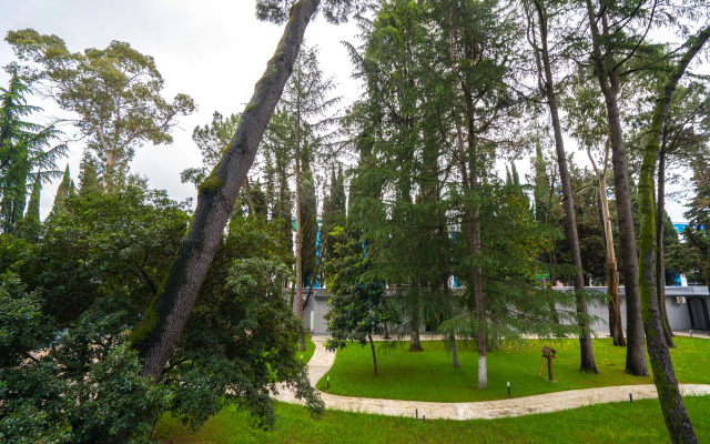PosutochnoSochi.rf V Tsentre Adlera Apartments 1