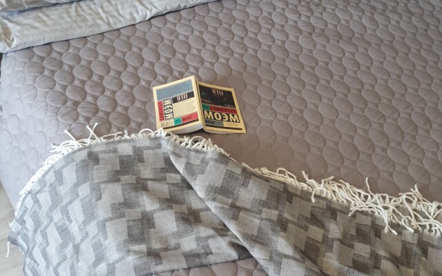 Апартаменты в Центре Города