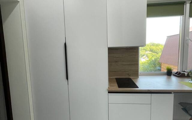 Studiya v Tsentre Flat