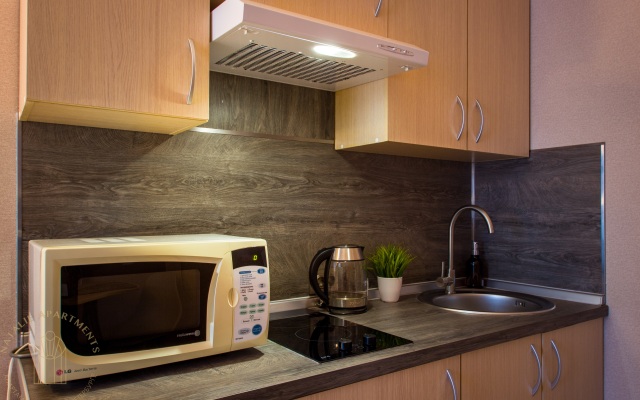 Апартаменты Студия Natalie Apartments Пулковское шоссе 14 Е (16)