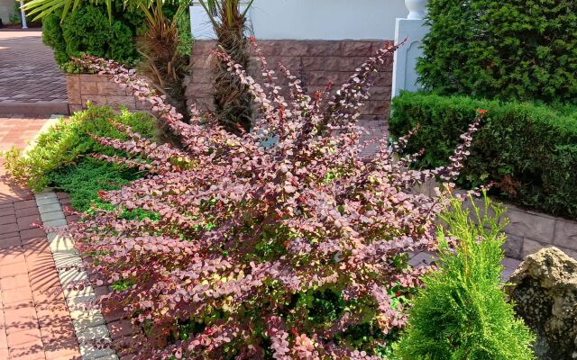 Orel-Izumrud Guest House