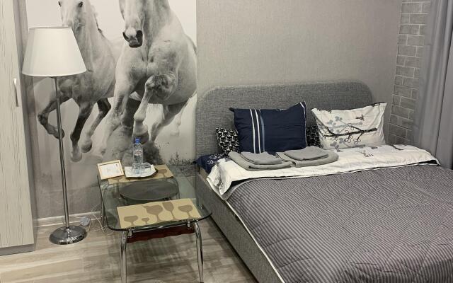 Апартаменты Downtown 2