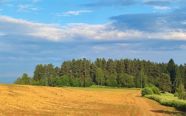 Lukino-Park Guest house
