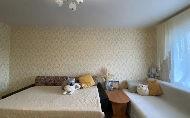 Dvushka Prostornaya Flat