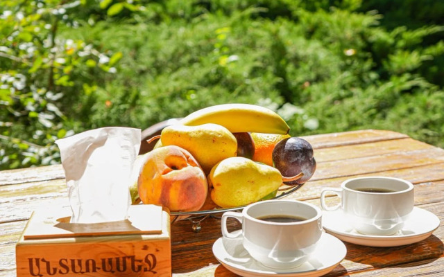 Отель Dream Forest