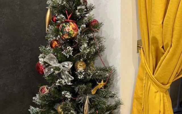 Квартира Студия на Улице Рябиновая 3к3