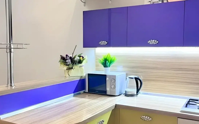 V Istoricheskom Tsentre Goroda Flat