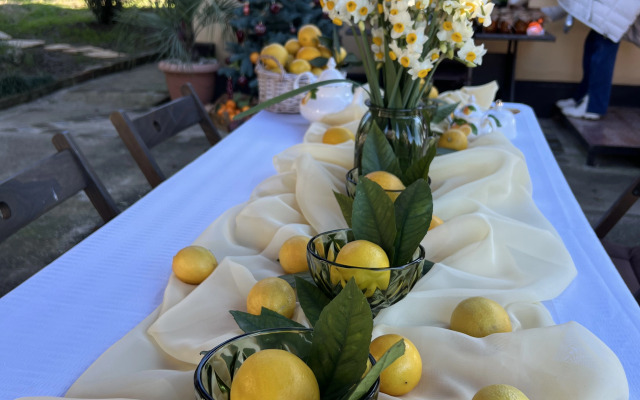 Mandarinovy Dvorik Private House