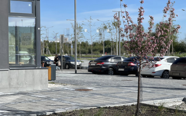 Квартира уютная роскошь возле аэропорта и ЭКСПО