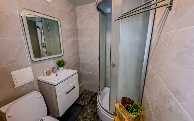 V Tsentre Goroda Flat