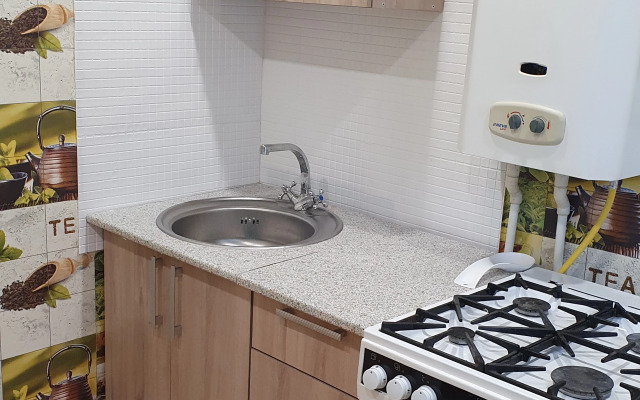 odnokomnatnaya v tsentre Flat