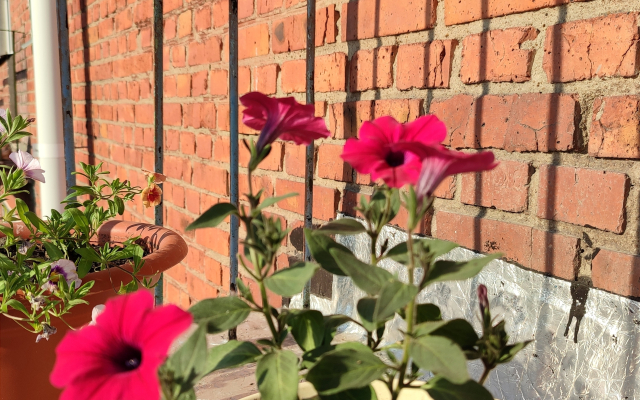 Квартира 2-комнатная в Омске на Петра Ильичева 4