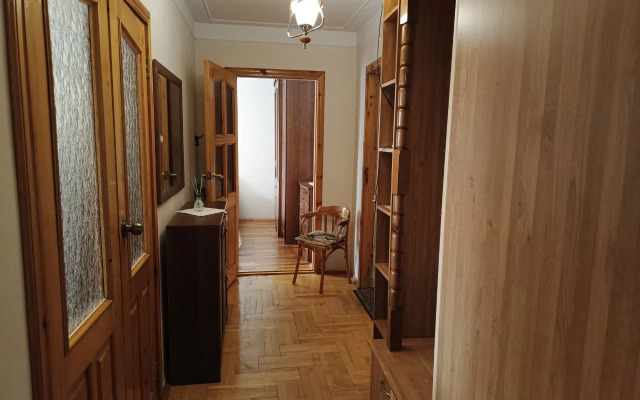 V Tsentre Goroda Flat