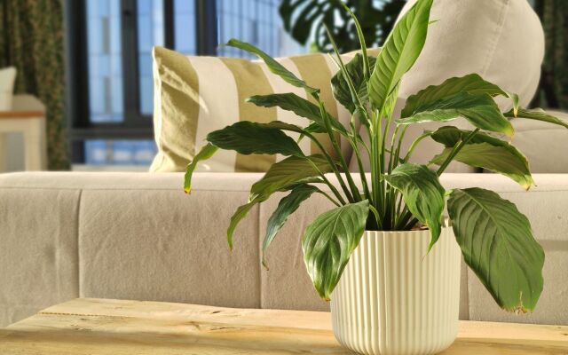 Апартаменты Чай Наливаем