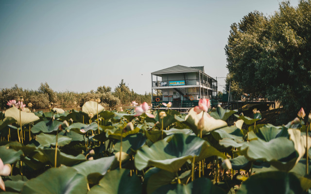 База отдыха Золотой Лотос