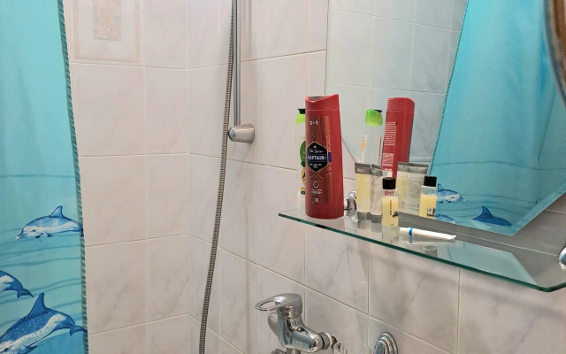 Odnokomnatnaya Kvartira V Tsentre Flat