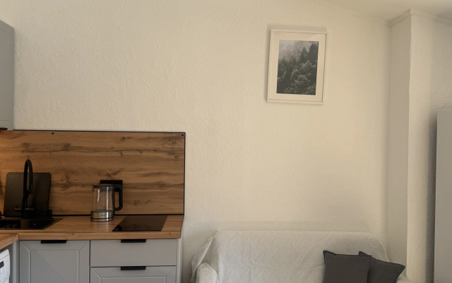 Квартира Уютная квартира в центре Владивостока