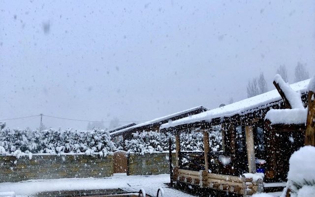 Отель Кедровый Бор