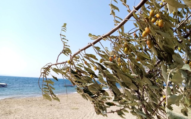 Yazduf Family Holiday Homes