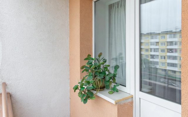 Otdykh S Udovolstviem Flat