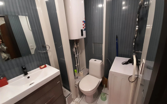 Апартаменты с 1 комнатой в центре города (Квартира51)