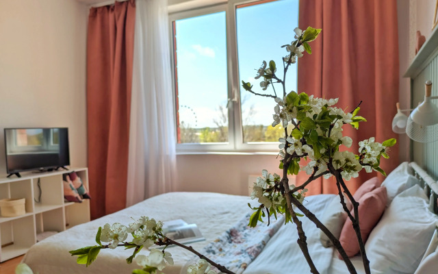 Vidovaya Studiya Pokrovskie Apartments