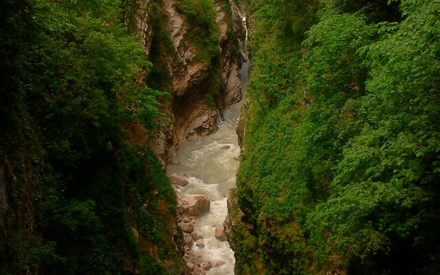 Мини-Отель Арфа