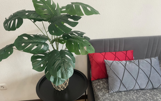 Krasivaya Studiya S Balkonom Flat