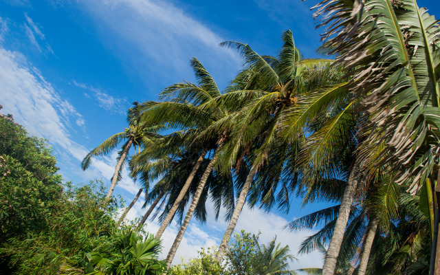 Отель Reef Retreat Boracay