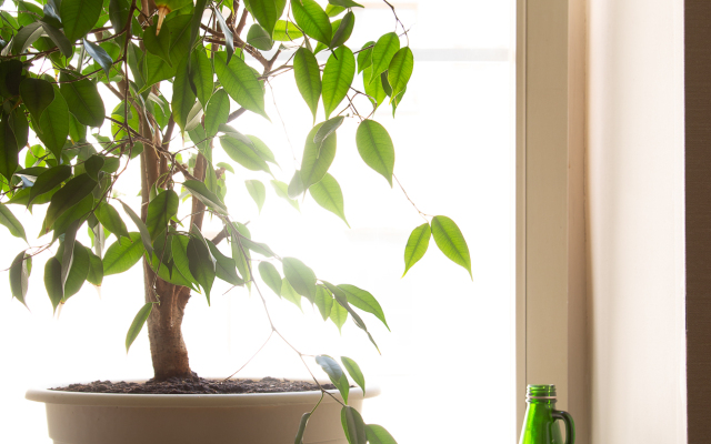 Квартира Однокомнатные апартаменты (евродвушка) Апартаменты Город Рек. Маяковская