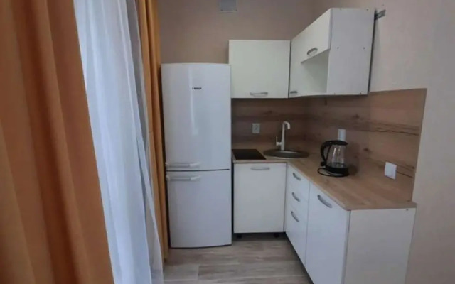 Studiya V Tsentre S Vidom Na Gorod Flat