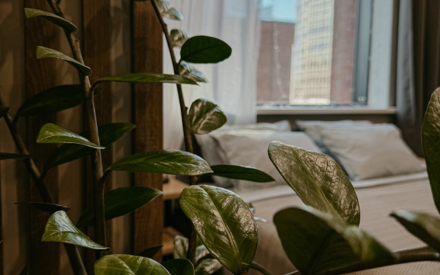 Apartamenty  V Stile   Newyork Flat
