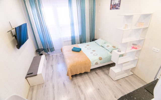 Stylish Studio in Novostroe Apartments