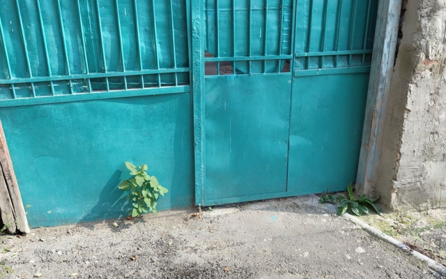 Апартаменты Sweet Home in Old Tbilisi